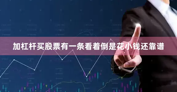 加杠杆买股票有一条看着倒是花小钱还靠谱