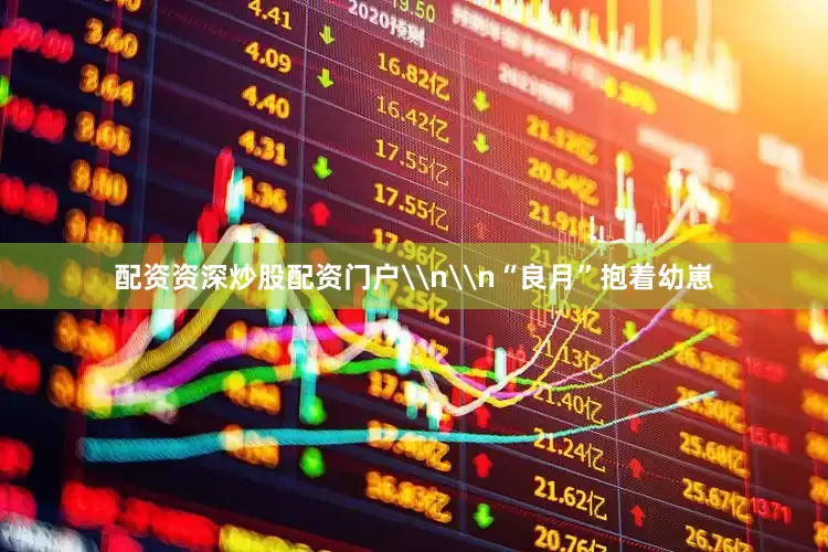配资资深炒股配资门户\n\n“良月”抱着幼崽