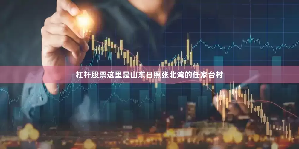 杠杆股票这里是山东日照张北湾的任家台村